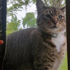 Meet your Posher, Brandie